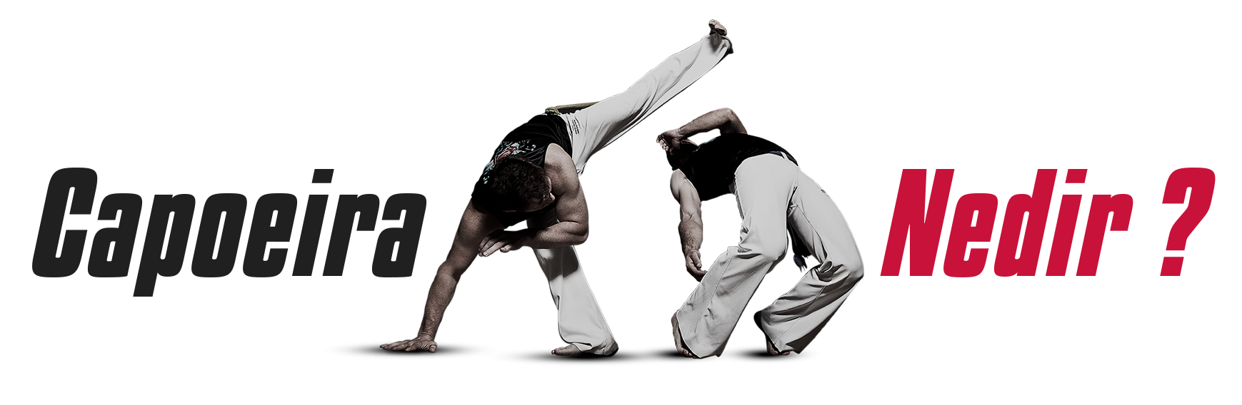 CAPOEIRA NEDİR ?